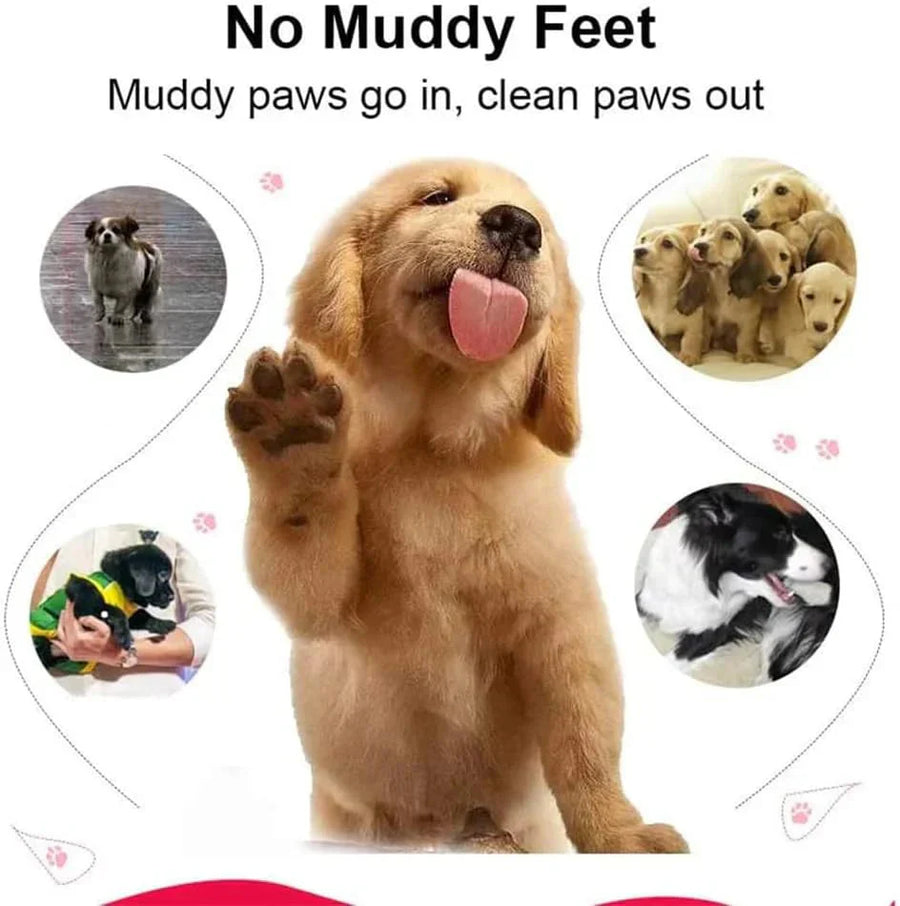 Tasstvätt för hund