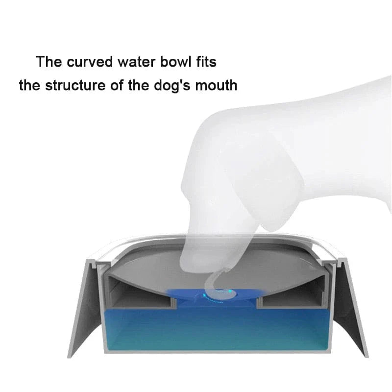 Dog Water Bowl with Floating Plate