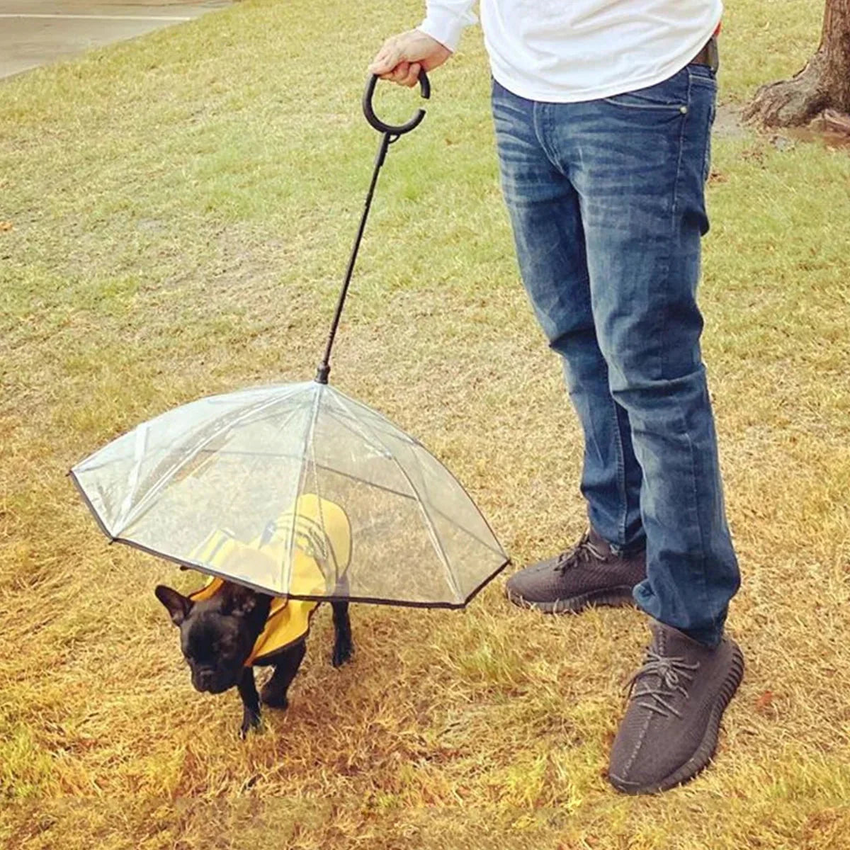 Dog Umbrella with Built-In Leash