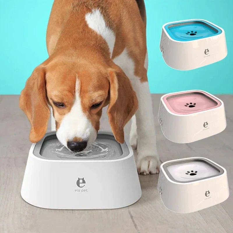 Dog Water Bowl with Floating Plate